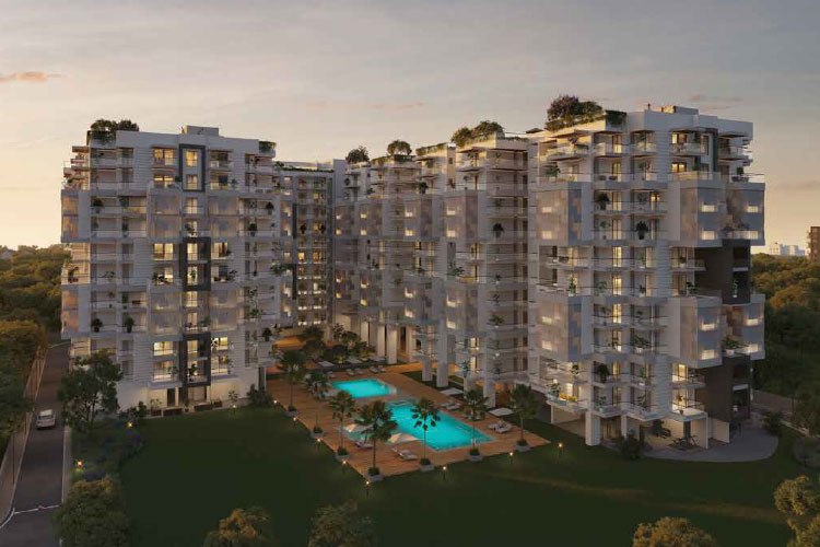 Tarc Tripundra gallery