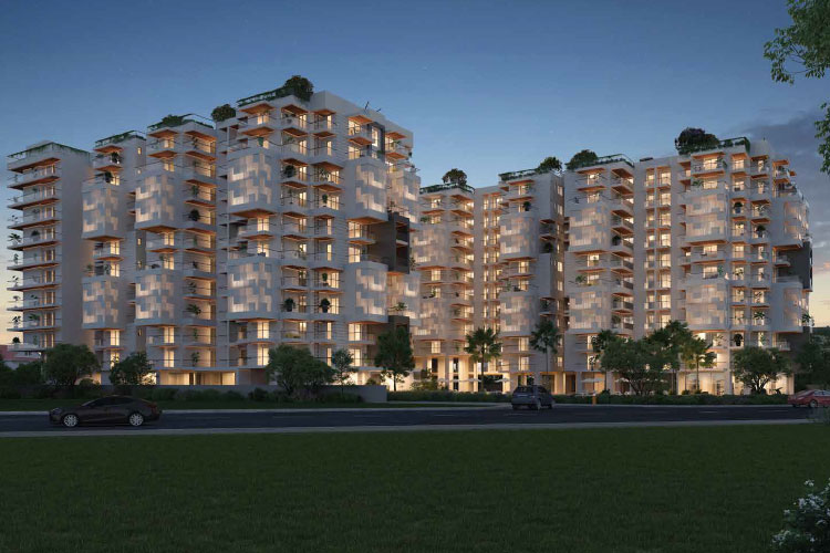 Tarc Tripundra gallery